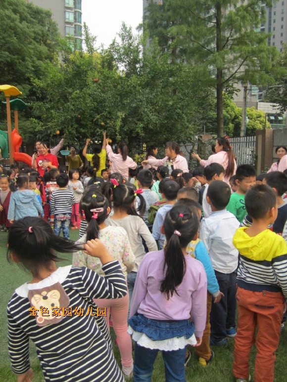 附件：IMG_6226.jpg