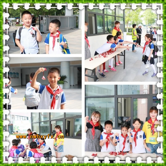 附件：QQ图片20190605165854.jpg