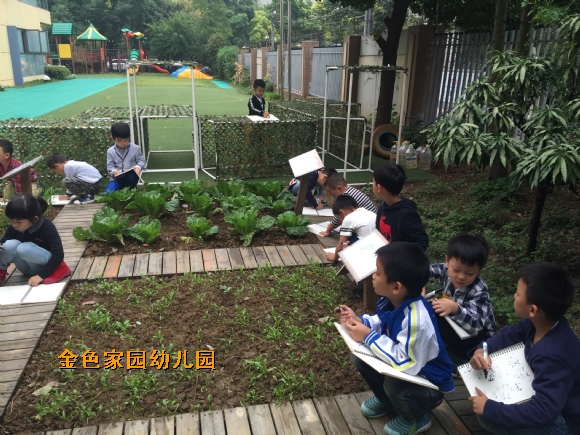附件：IMG_2987.JPG