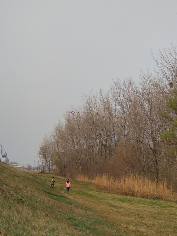 附件：IMG_20210222_165339R.jpg