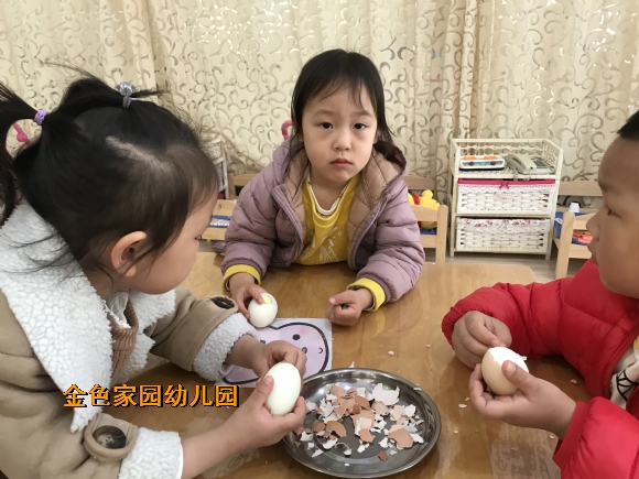 附件：IMG_3912.JPG