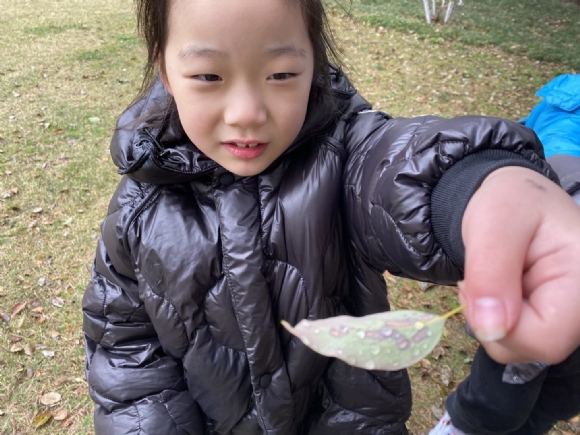 附件：FEE8D1504F9570B59BD5EA8CDD168527.png