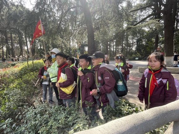 附件：IMG_3394.JPG