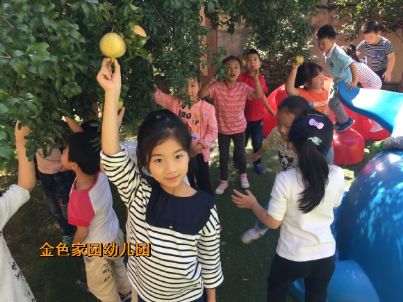 附件：IMG_0487.JPG