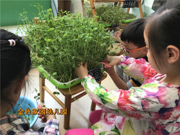 附件：IMG_1721.JPG