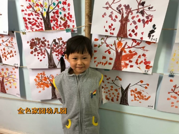 附件：IMG_2310.JPG