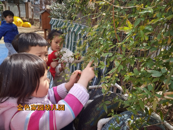 附件：IMG_20220302_114127.jpg