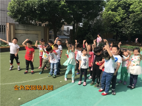 附件：IMG_7781.JPG