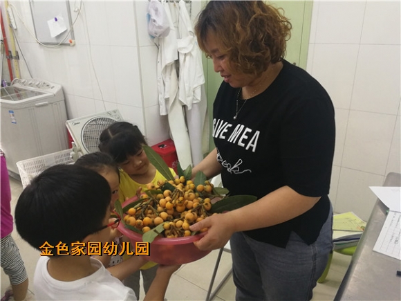 附件：mmexport1559721134883.jpg