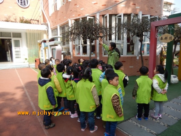 附件：conew_dscn2478.jpg