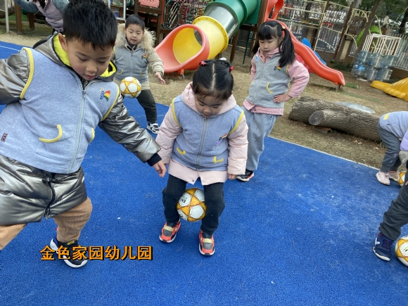 附件：IMG_5308.JPG