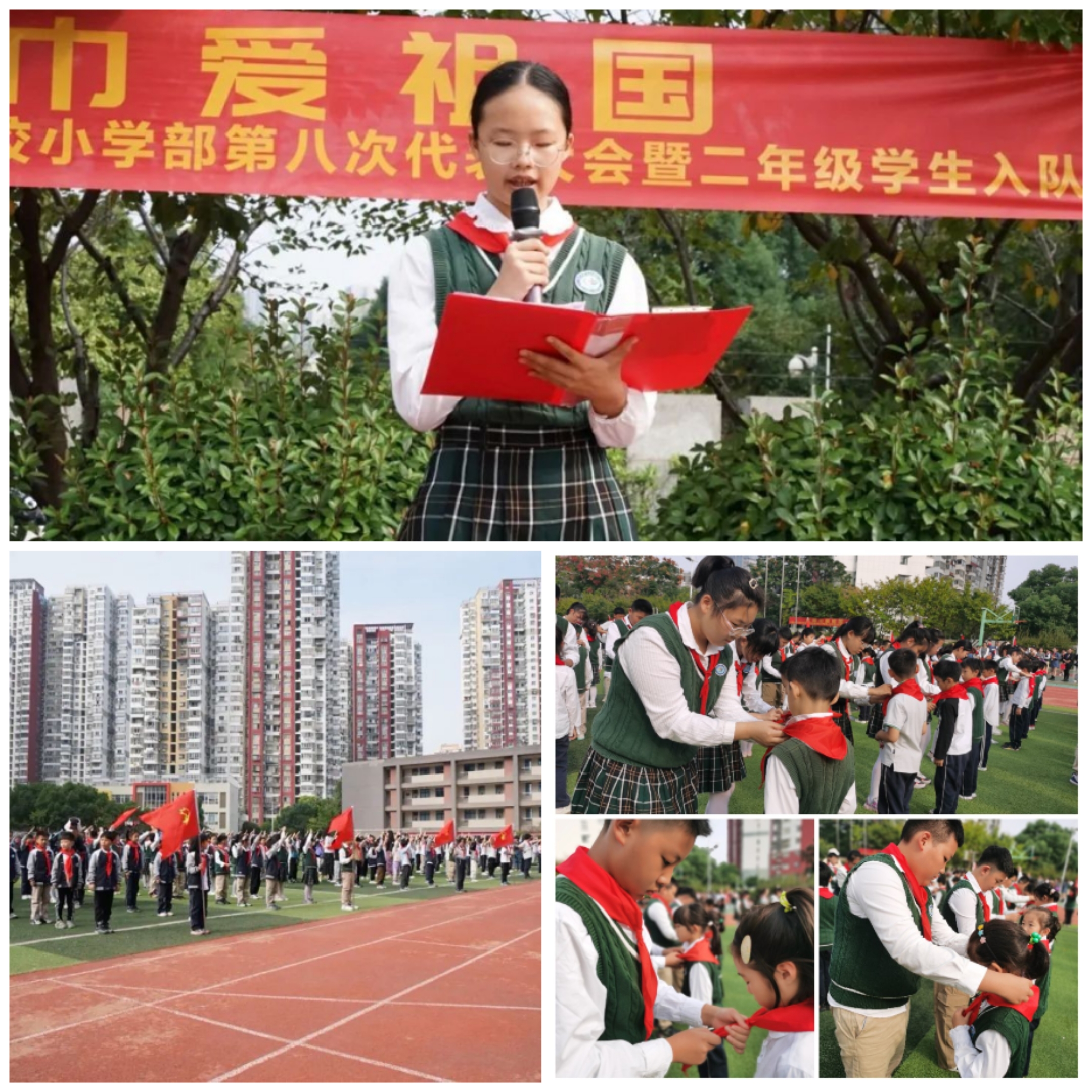 Collage_20241129_081435.jpg