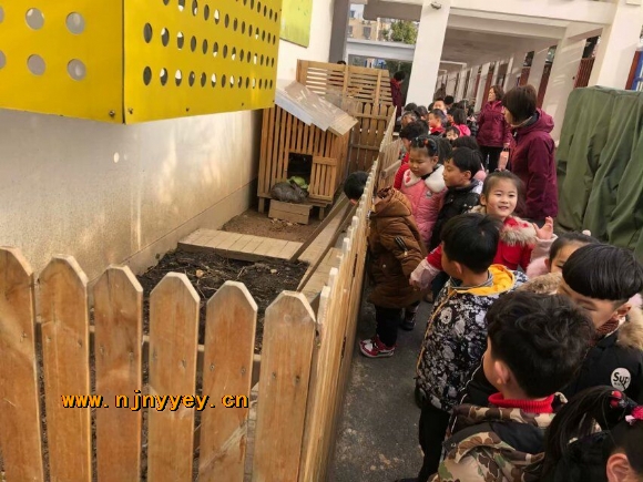 附件：QQ图片20190227103809.jpg
