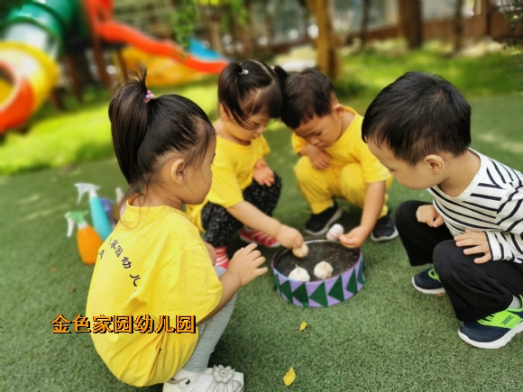 附件：IMG_20190909_093050.jpg