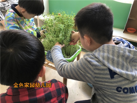 附件：IMG_1726.JPG