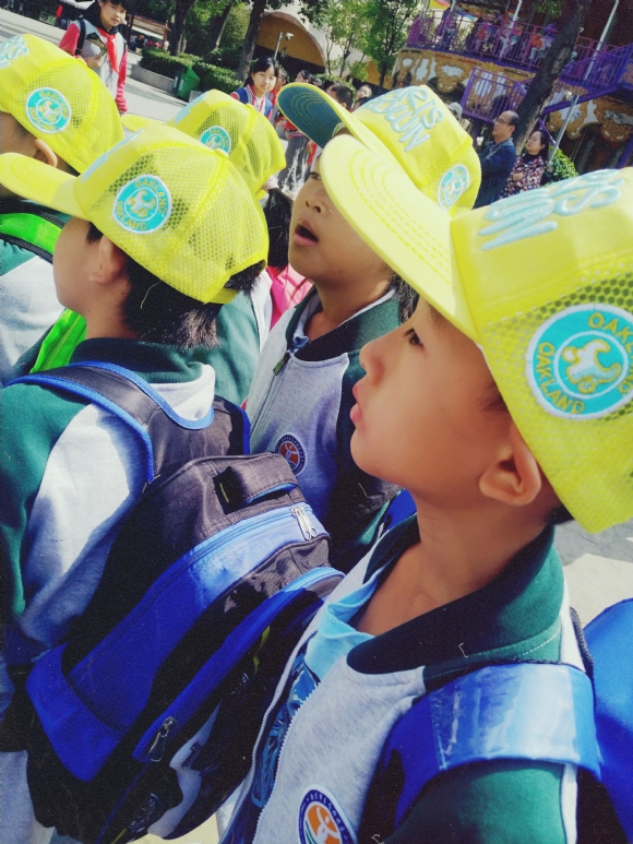 附件：IMG_20191017_110704R_1.jpg