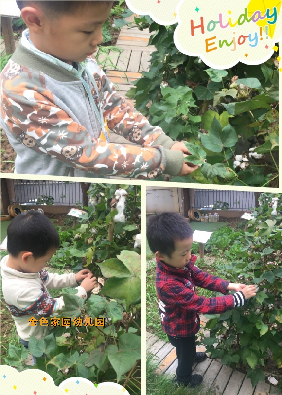 附件：4.jpg