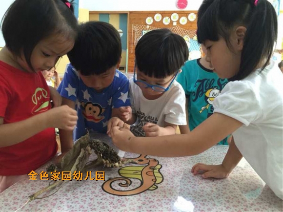 附件：4.jpg