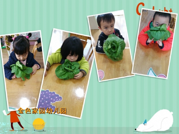 附件：initpintu_副本11.jpg