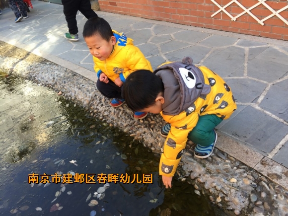 附件：conew_img_7218.jpg