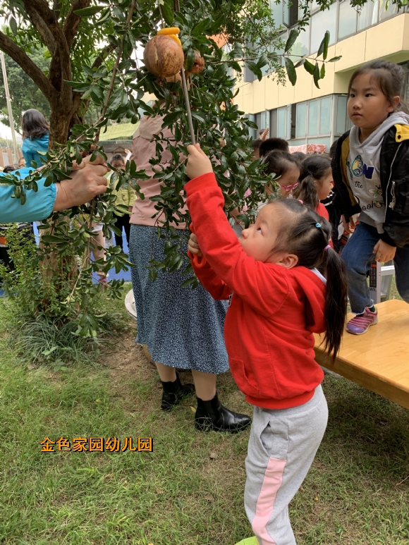 附件：dbdca8776cb24e0e6e0d86209302562e.jpg