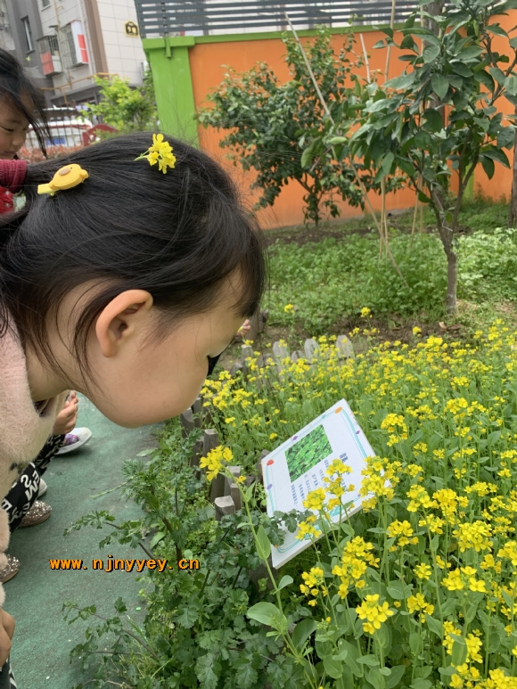 附件：IMG_8971.JPG