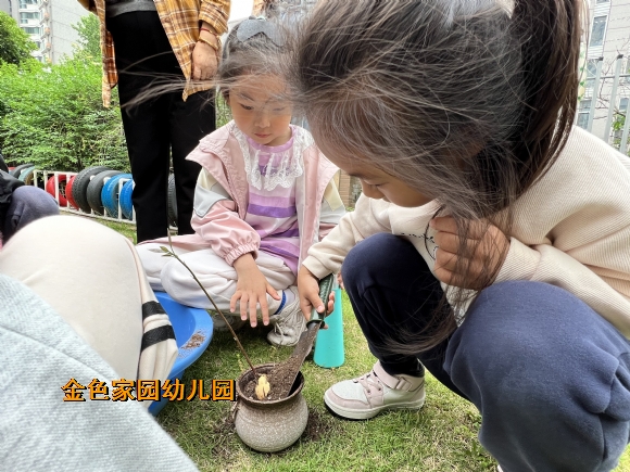 附件：IMG_8114(20220513-162827).JPG