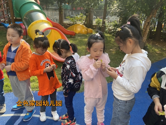 附件：IMG_2213.JPG