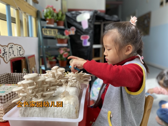 附件：IMG_3530.JPG