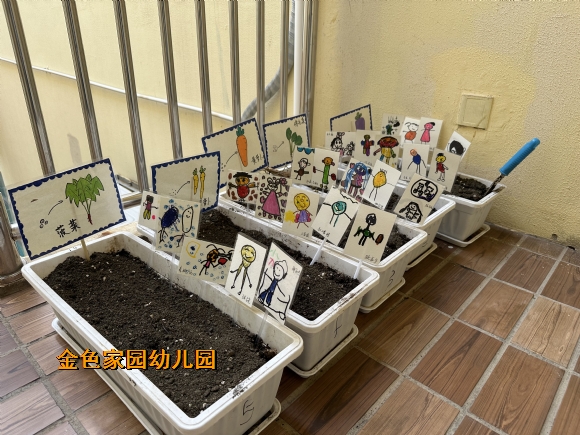 附件：IMG_0616.JPG