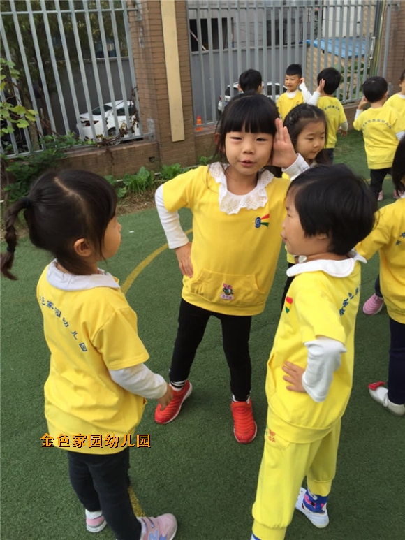 附件：IMG_6155.JPG
