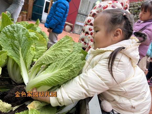 附件：b7274768f096be59bfe7b471fd411c2.jpg