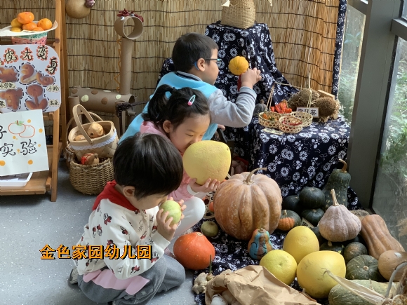附件：IMG_9980.JPG