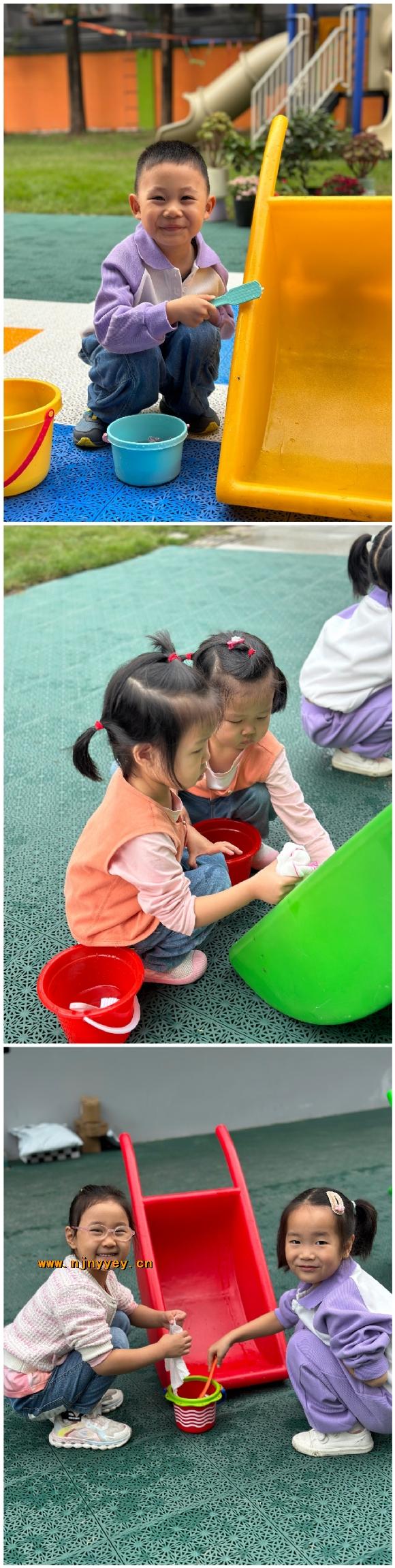 附件：Collage_20241025_165748.jpg