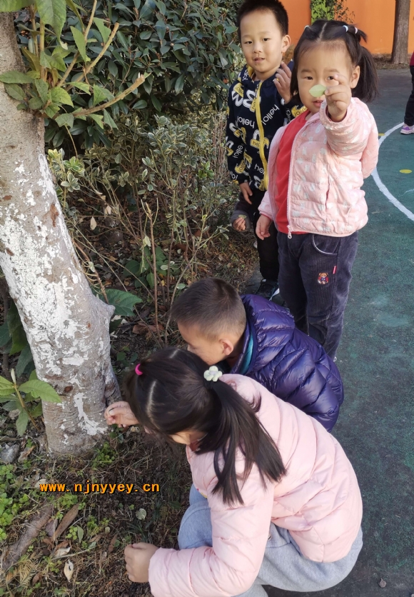 附件：11.jpg