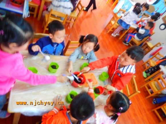 附件：conew_dscn2818.jpg