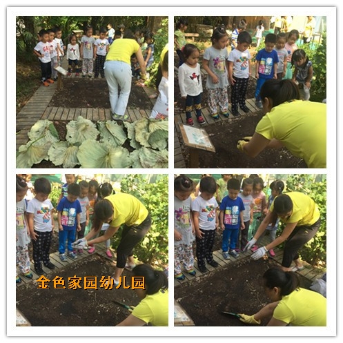 附件：initpintu_副本1.jpg