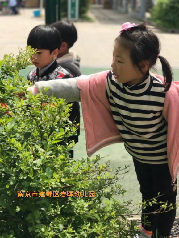 附件：IMG_3012.JPG