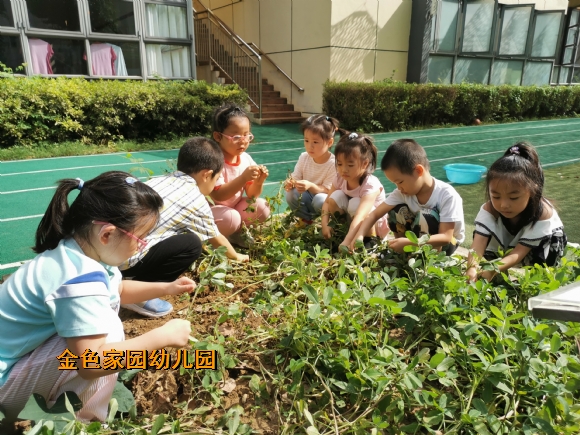 附件：IMG_20210924_093135.jpg