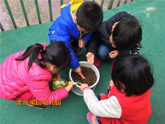 附件：IMG_0313.JPG