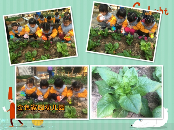 附件：1.jpg