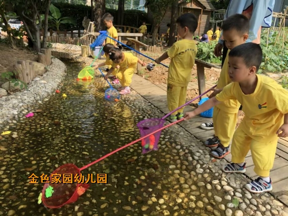附件：IMG_8642.JPG
