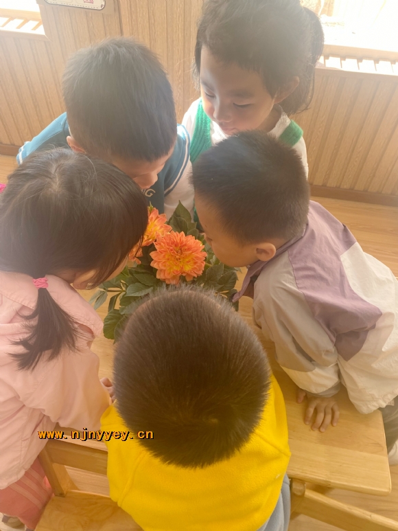 附件：IMG_2525.JPG