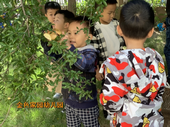 附件：IMG_8696.JPG