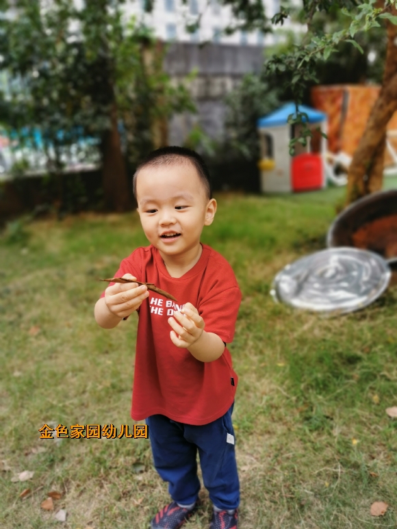 附件：IMG_20191010_101858.jpg