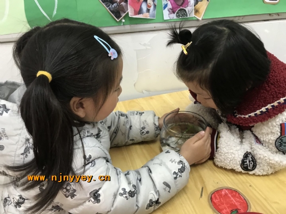 附件：3.jpg