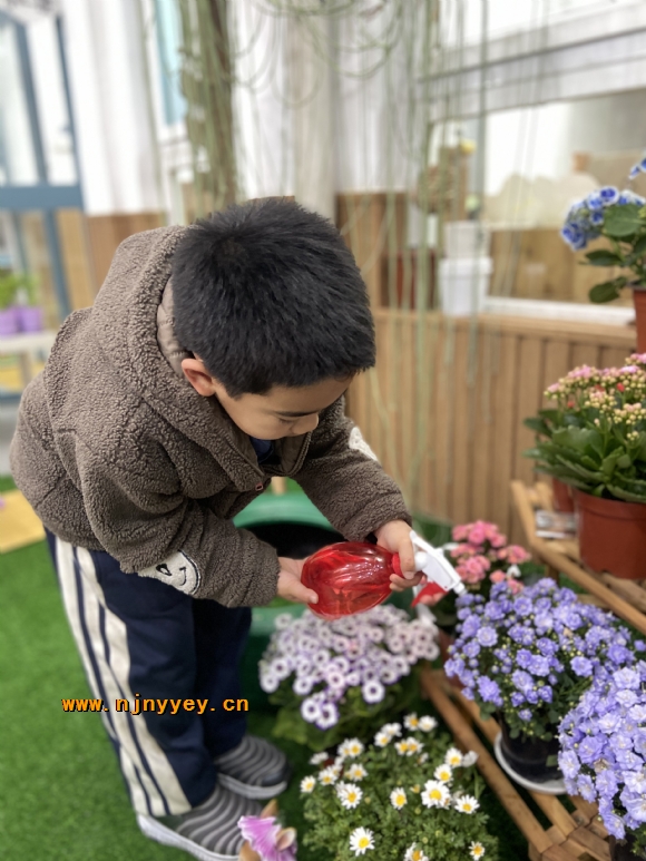 附件：IMG_3841.JPG