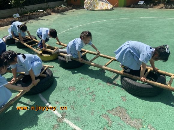 附件：IMG_5484(20230515-153329).JPG