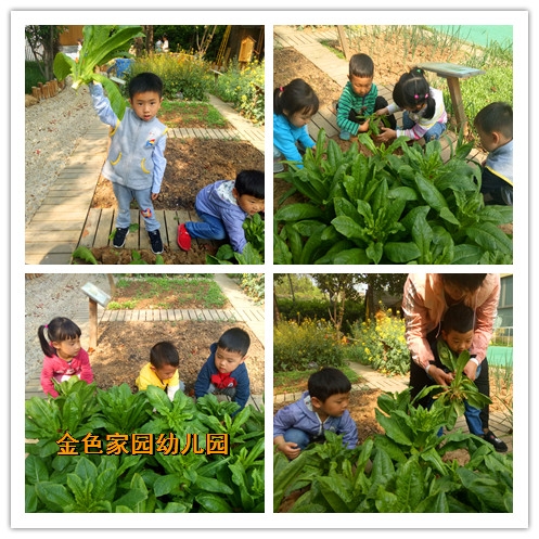 附件：6.jpg