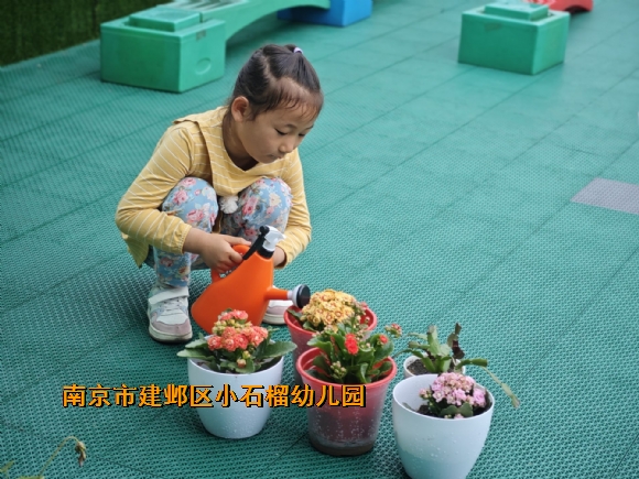 附件：QQ图片20240511154446.jpg